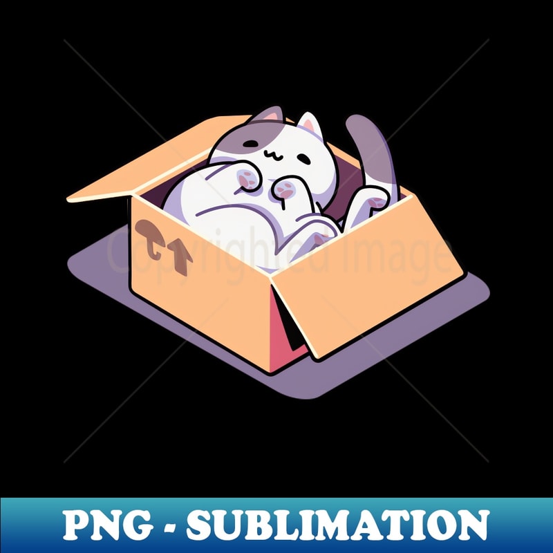 UE-20231106-4056_cats sitting in cardboard boxes 4563.jpg