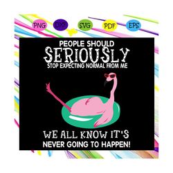 people should seriously stop svg,flamingo svg, pink flamingo svg, flamingo print, flamingo birthday, flamingo clipart, f