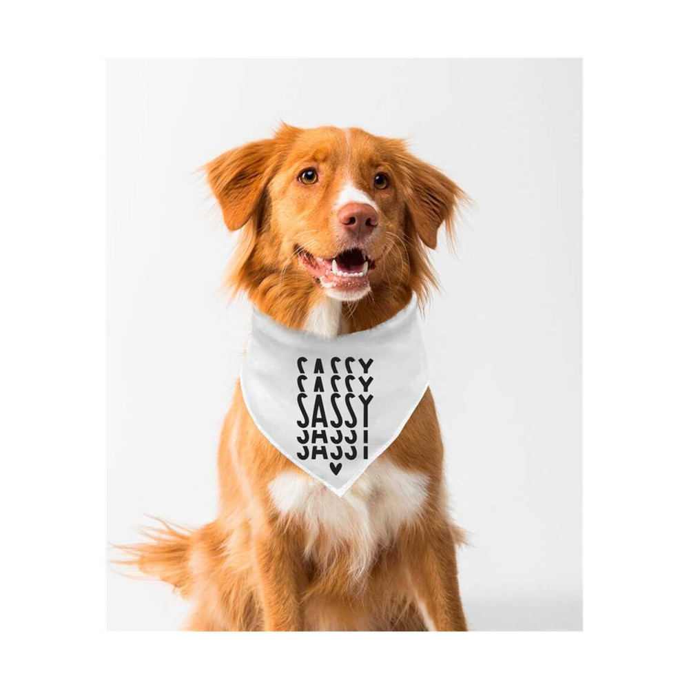 MR-611202310323-sassy-svg-dog-bandana-svg-dog-bowl-svg-retro-svg-boho-image-1.jpg