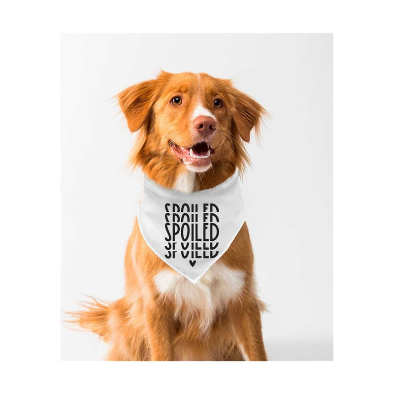 MR-6112023104727-spoiled-svg-dog-bandana-svg-dog-bowl-svg-retro-svg-image-1.jpg