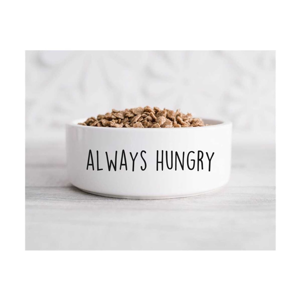 MR-611202311233-always-hungry-svg-dog-bowl-svg-cat-bowl-svg-dog-treats-image-1.jpg