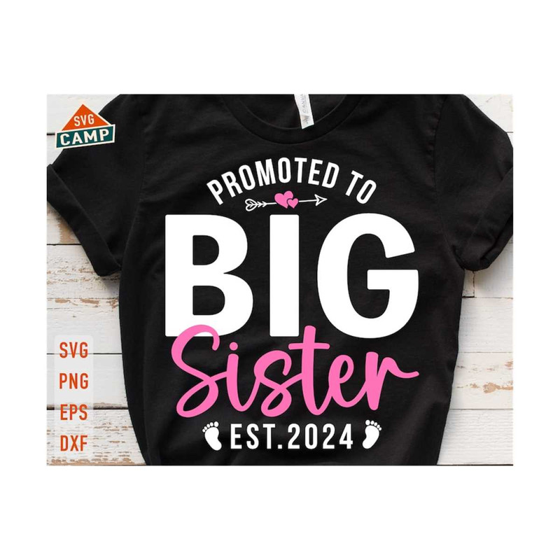 6112023112319-promoted-to-big-sister-svg-baby-announcement-svg-big-sister-image-1.jpg