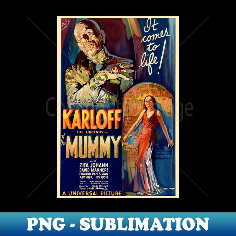 CM-20231106-2612_Boris Karloff vintage The Mummy movie poster 8998.jpg