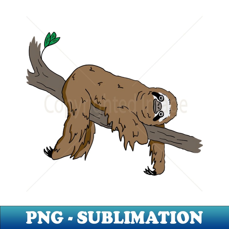 PD-20231106-4463_Cute Sloth on a branch 9942.jpg