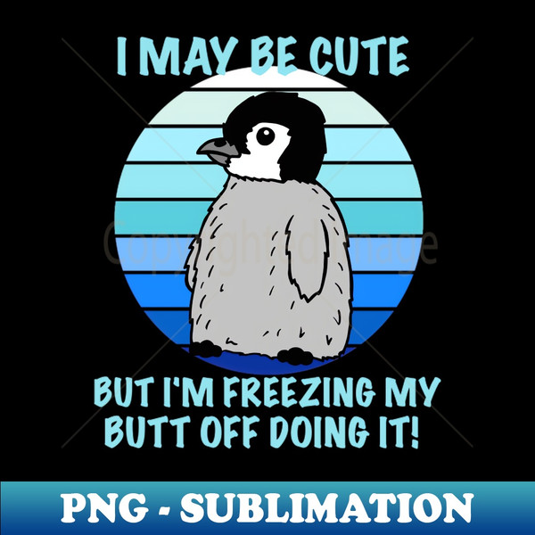 PM-20231106-4346_Cute baby Penguin being cute 9328.jpg