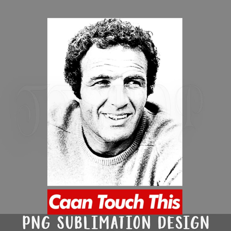 DMG8-James Caan Caan Touch This PNG Download.jpg