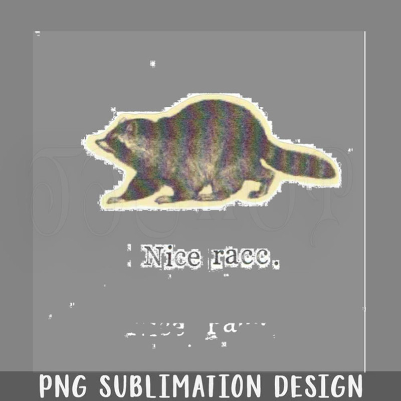 DMF421-ice Racc PNG Download.jpg