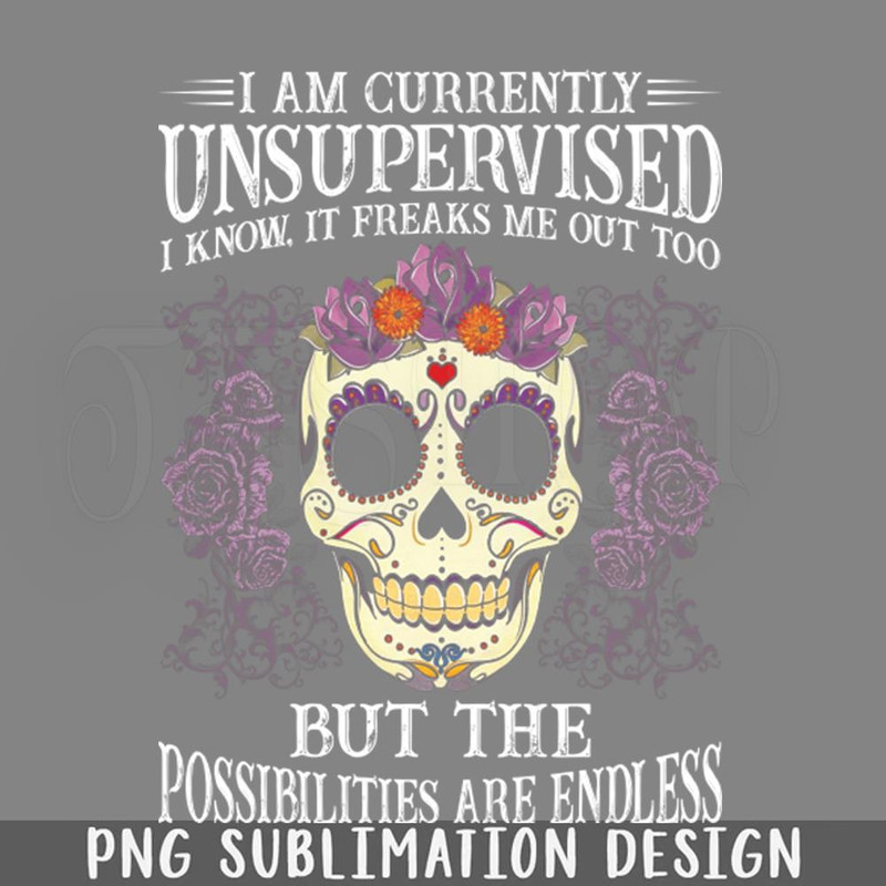 DMEE929-I Am Currently Unsupervised I Know Funny s Sayings Funny Sarcastics PNG Download.jpg