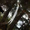 s-l1600.jpg