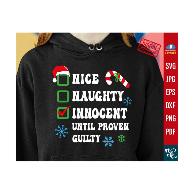 711202384411-nice-naughty-innocent-until-proven-guilty-checklist-naughty-image-1.jpg