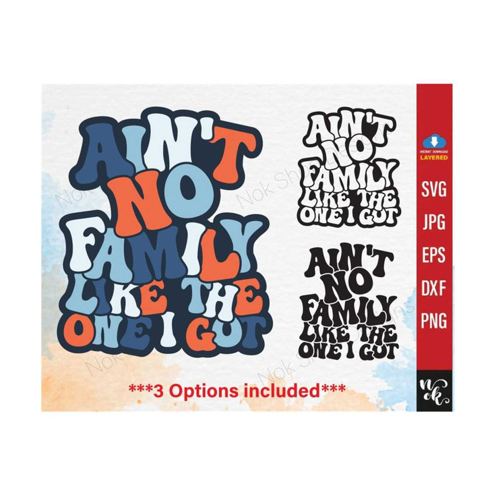 711202384424-aint-no-family-like-the-one-i-got-svg-png-great-design-image-1.jpg