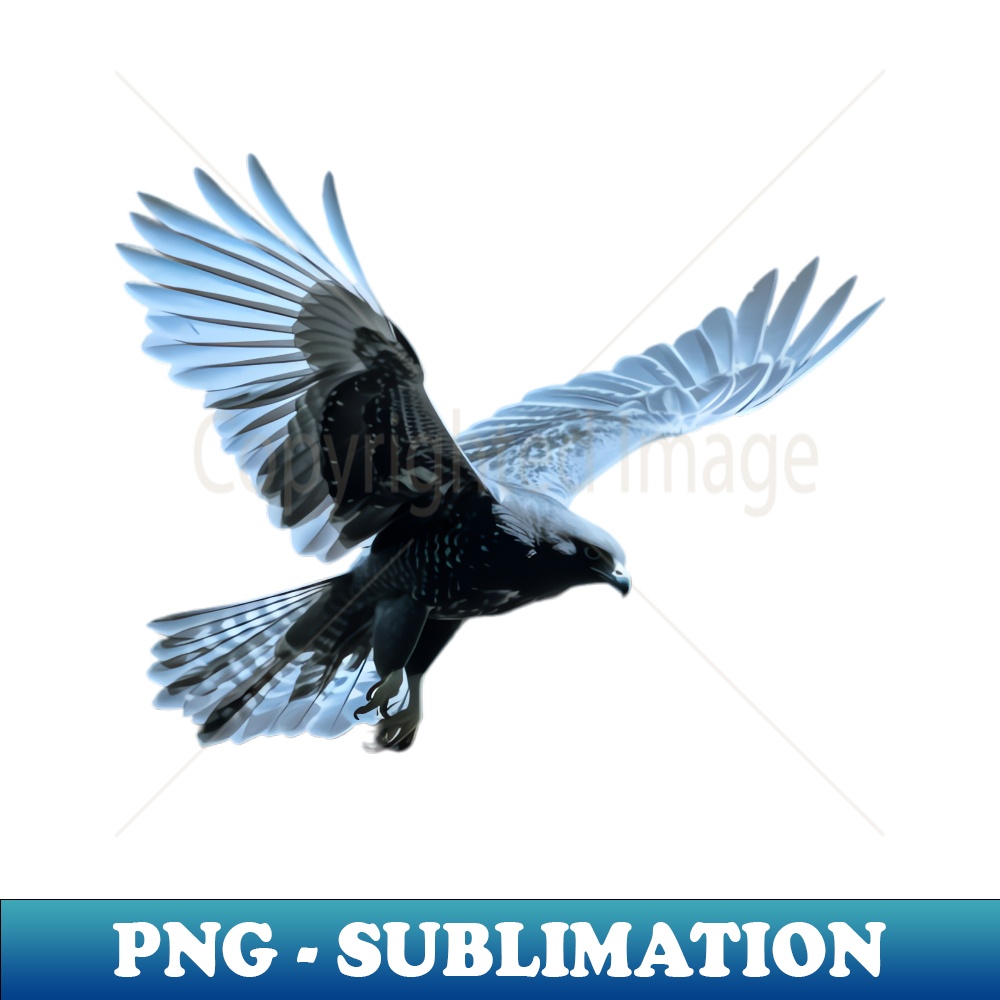 AM-20231107-2104_Eurasian Sparrowhawk is flying with its wings spread in the style of night photography 9971.jpg