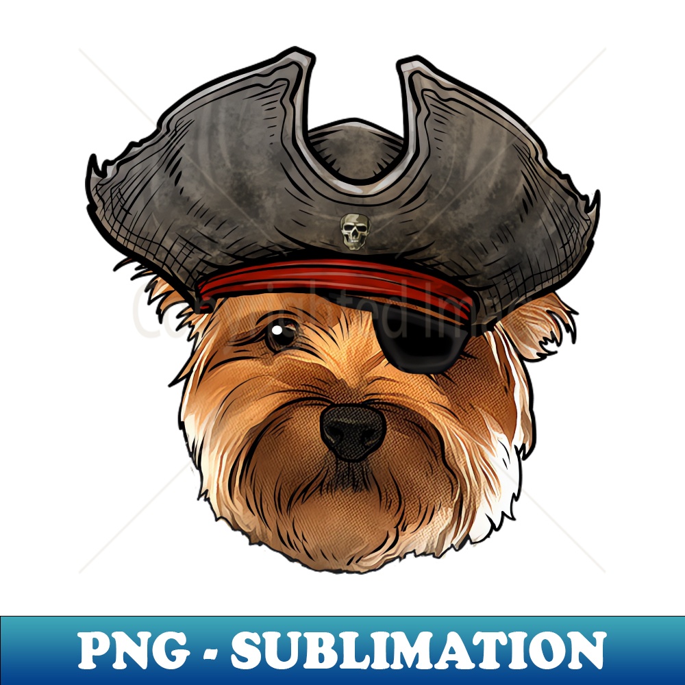 CK-20231107-13228_Yorkie Pirate 2673.jpg