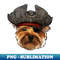 CK-20231107-13228_Yorkie Pirate 2673.jpg