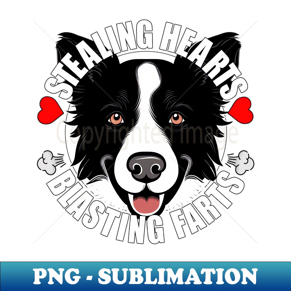 DE-20231107-2432_Funny Border Collie Stealing Hearts Blasting Farts Dog Cute Puppy 1536.jpg