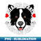 DE-20231107-2432_Funny Border Collie Stealing Hearts Blasting Farts Dog Cute Puppy 1536.jpg
