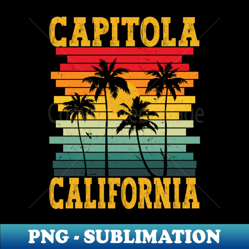 DF-20231107-5575_Retro Capitola California USA Tropical Summer Palm Trees 6757.jpg