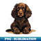 EB-20231107-973_Boykin Spaniel Dog Illustration 9348.jpg