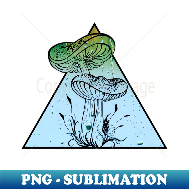 FC-20231107-5454_Rainy Day Mushrooms 2129.jpg