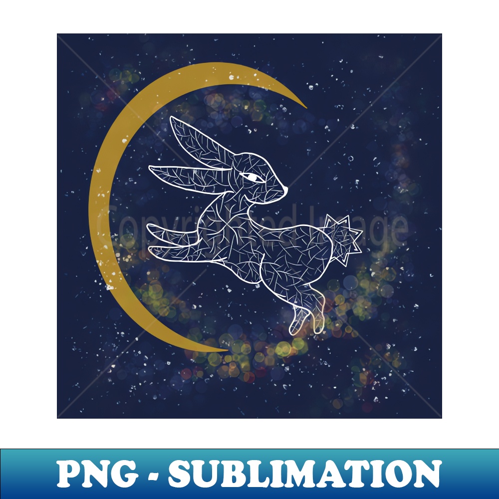 HU-20231107-4303_Lunar rabbit 1008.jpg