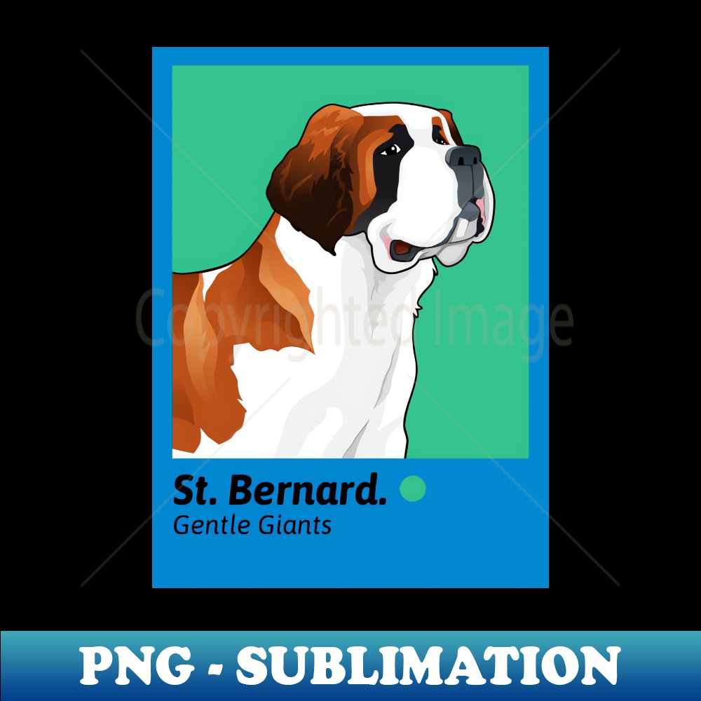 HU-20231107-8321_St Bernard - Gentle Giants 8504.jpg