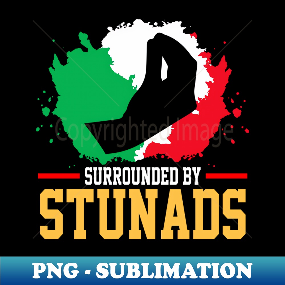 IK-20231107-8923_Surrounded By Stunads Hand Gesture Funny Italian Meme funny Italian Phrases Gift 1223.jpg