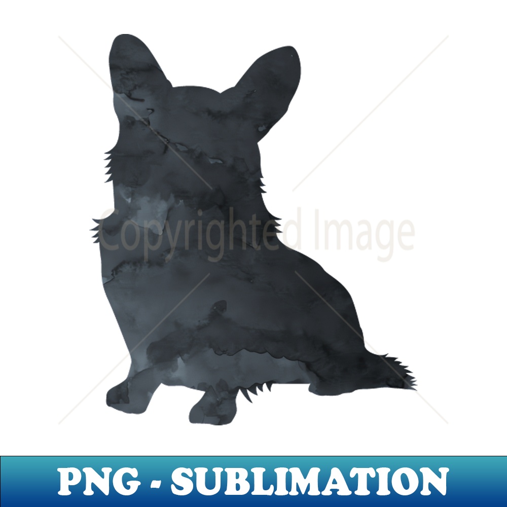 JB-20231107-1504_Corgi Art Black 2516.jpg