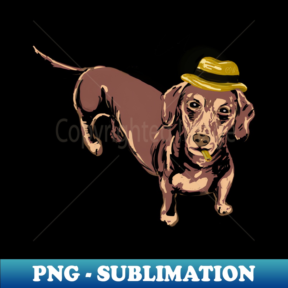 JD-20231107-12679_Wiener Dog with Cigar in a Fedora 3276.jpg