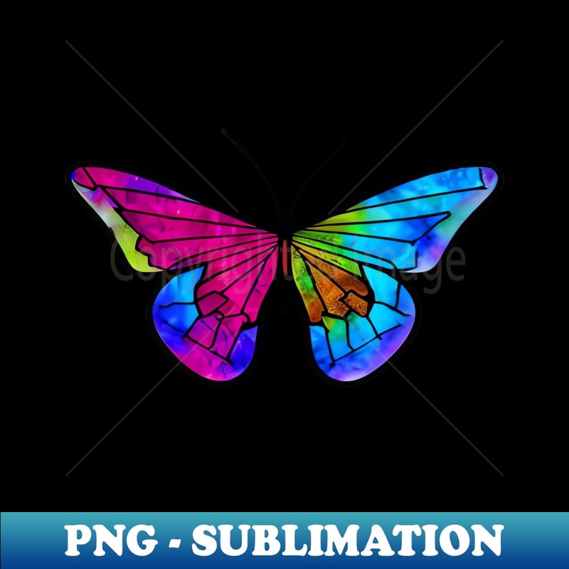 JM-20231107-8365_Stained glass butterfly 4042.jpg