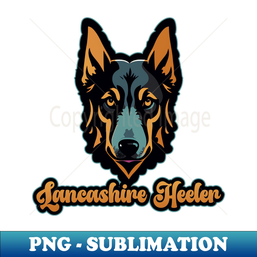 KE-20231107-4098_Lancashire Heeler Dog Head 8628.jpg