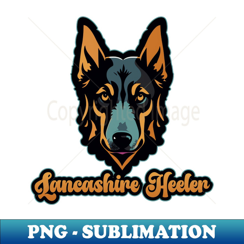 KE-20231107-4098_Lancashire Heeler Dog Head 8628.jpg