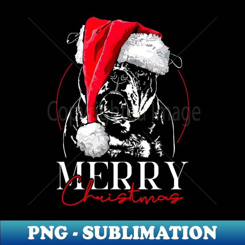 KU-20231107-6987_Santa Olde English Bulldog Merry Christmas dog 8124.jpg