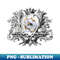 LA-20231107-7751_Skull King Dead 5482.jpg