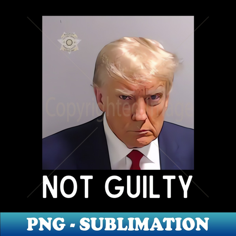 MI-20231107-10946_Trump Mugshot 2024 President Trump Not Guilty 7516.jpg