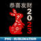 MX-20231107-13116_Year of the Rabbit 2023 - Chinese New Year 1163.jpg