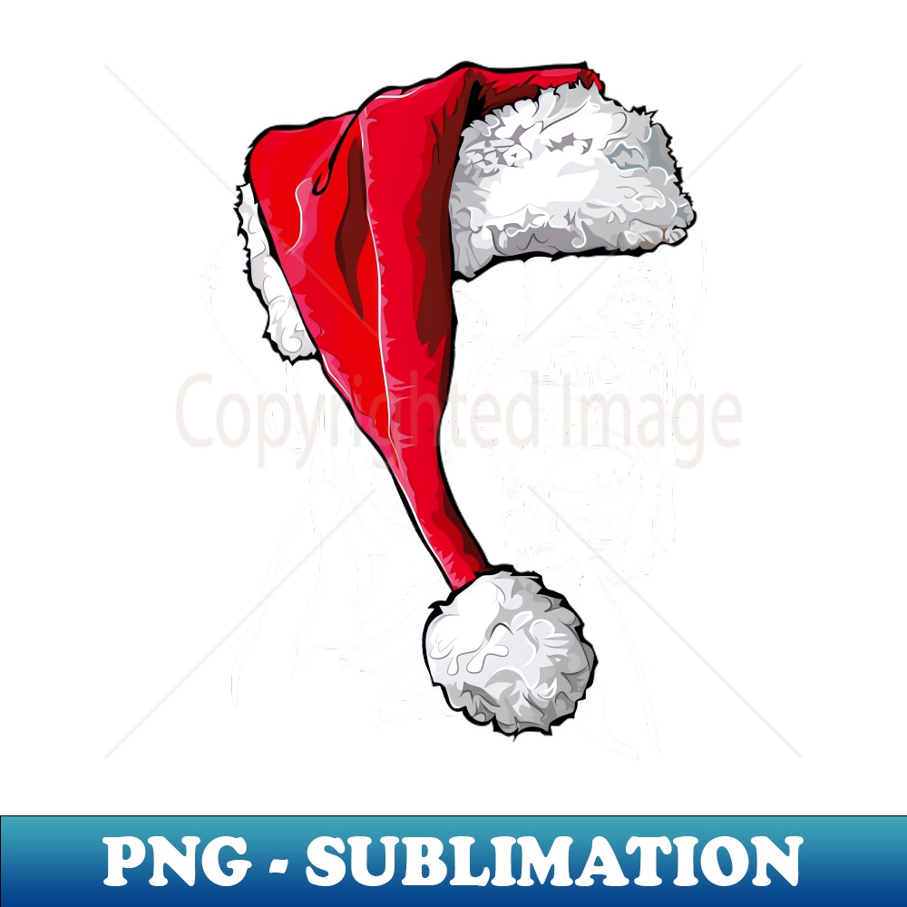 NN-20231107-969_Boxer Dog Santa Christmas dog 4743.jpg