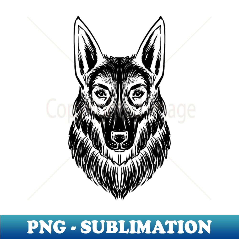 NS-20231107-2606_German Shepherd BW line 6108.jpg