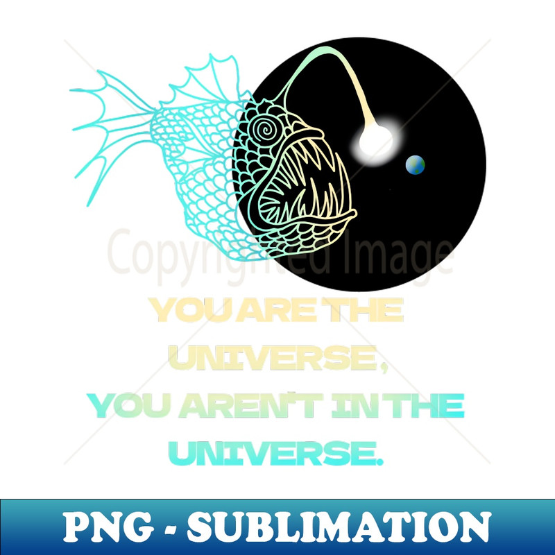 NT-20231107-13272_YOU ARE THE UNIVERSE YOU ARENT IN THE UNIVERSE 7844.jpg