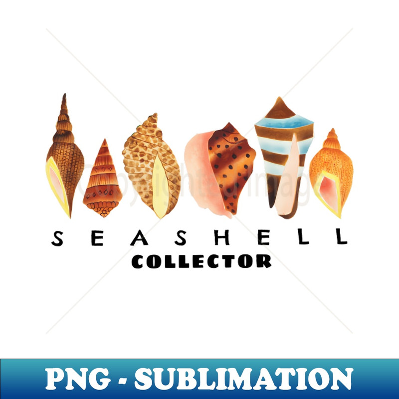 OQ-20231107-1389_Classic Seashell Collector 1366.jpg