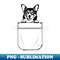 OT-20231107-5317_Pocket German Shepherd 7341.jpg