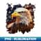 PR-20231107-601_Bald eagle American flag 3943.jpg