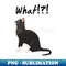 QD-20231107-12537_What 8929.jpg