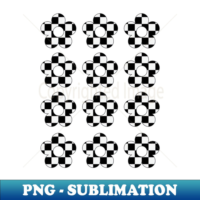 RP-20231107-828_Black And White Checkered Daisy 7435.jpg