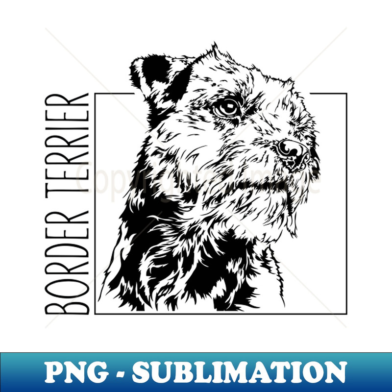 RV-20231107-2504_Funny Proud Border Terrier dog portrait 1954.jpg