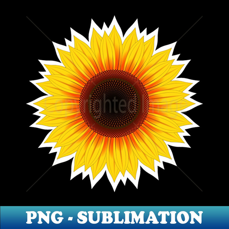 TV-20231107-13138_YELLOW Sunflower Blooming 9142.jpg