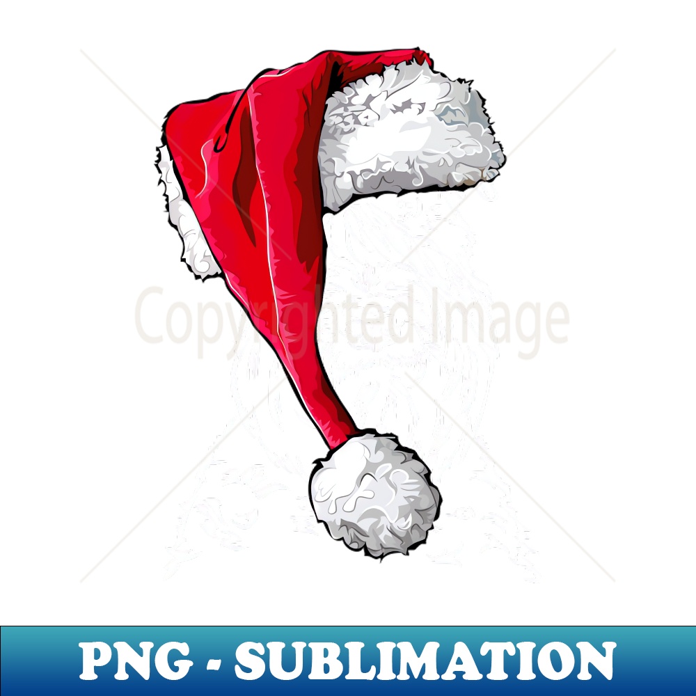 VF-20231107-7949_Soft Coated Wheaten Terrier Santa Christmas dog 5321.jpg