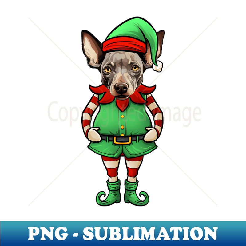 VG-20231107-2447_Funny Christmas Elf Hairless Terrier Dog 8403.jpg