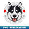 VI-20231107-2478_Funny Husky Stealing Hearts Blasting Farts Dog Cute Puppy 7993.jpg