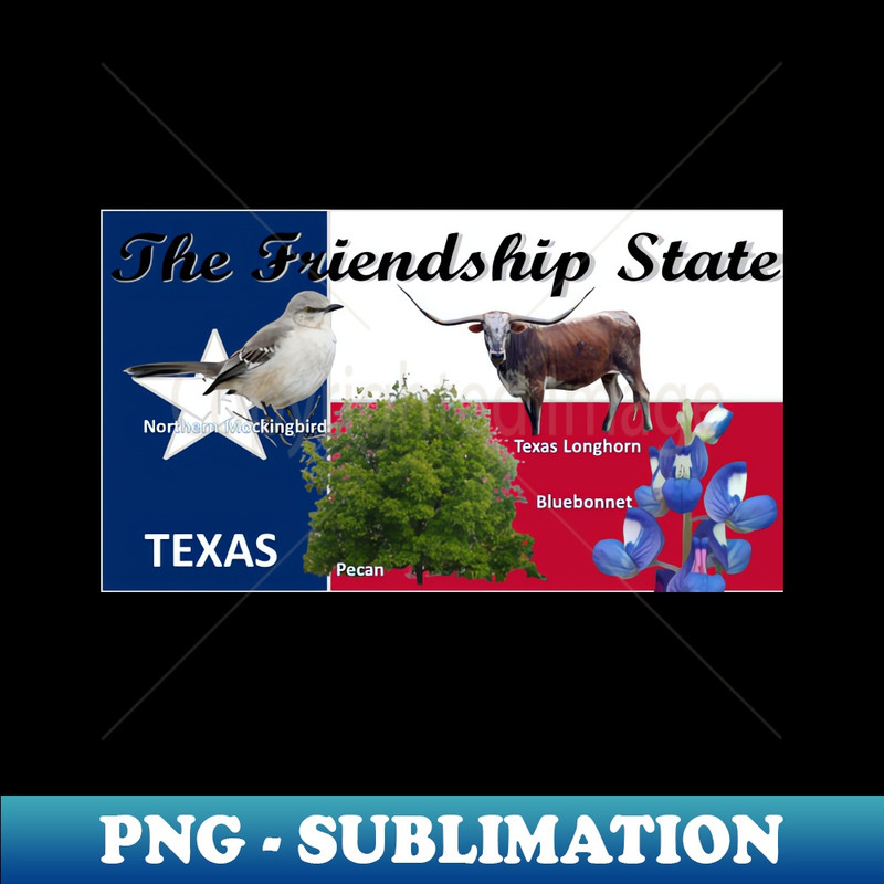 VR-20231107-9471_Texas State Flag with Texas Symbols for your Tee Shirt 9089.jpg