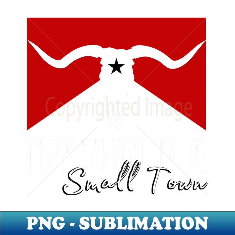 WH-20231107-12004_Vintage Try That In A Small Town Flag USA 8148.jpg